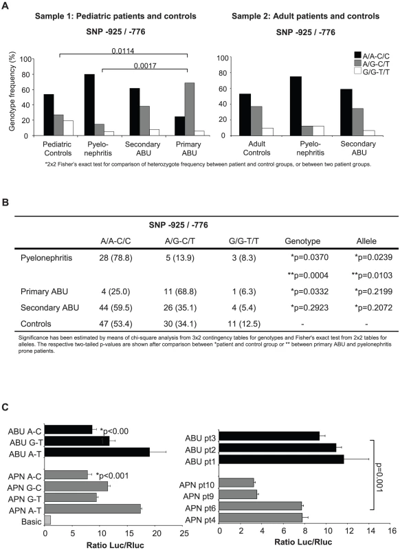 Human <i>IRF3</i> promoter sequence variation and activity in UTI-prone patients.