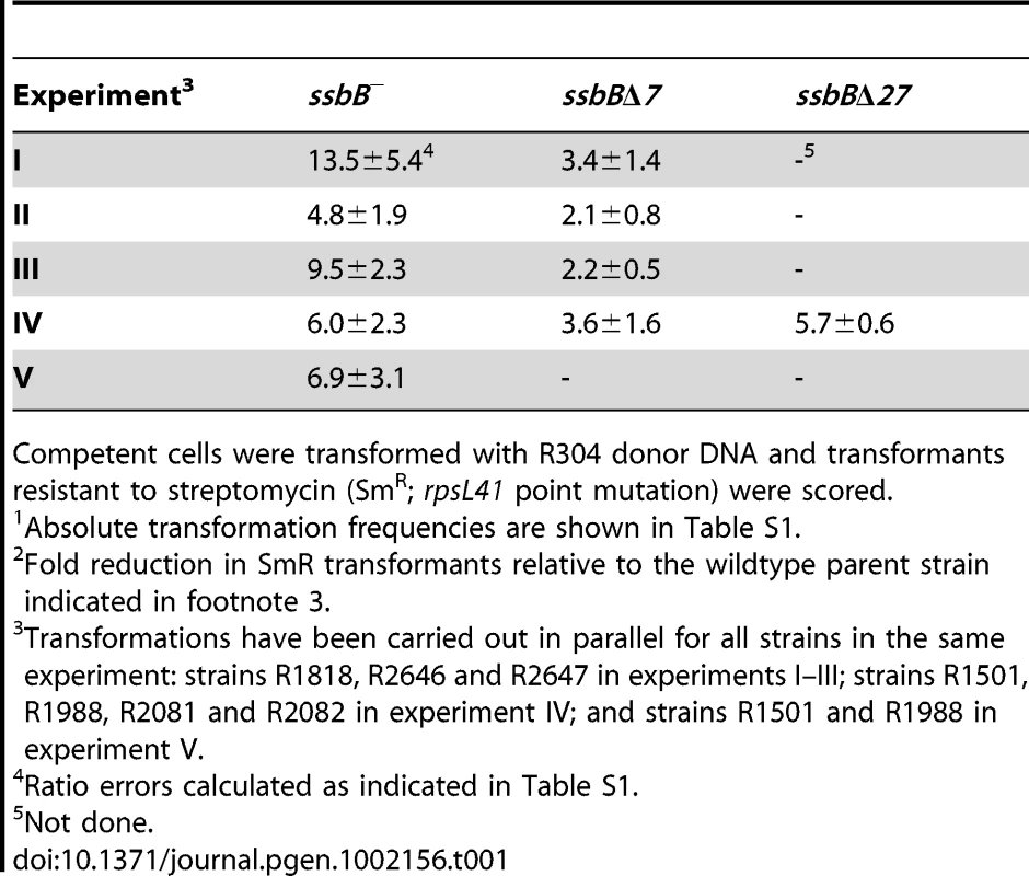 Fold reduction in chromosomal transformation frequency<em class="ref">1</em> in <i>ssbB</i><sup>−</sup>, <i>ssbB</i>Δ<i>7</i>, and <i>ssbB</i>Δ<i>27</i> cells<em class="ref">2</em>.