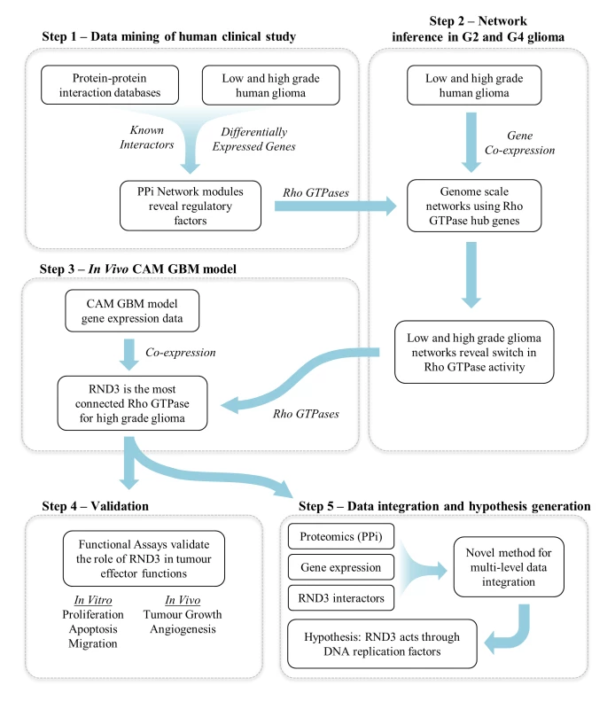 Overview of the analysis and validation strategy.