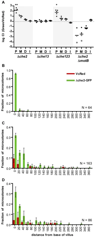 Chemotaxis is not required from the fine localization of <i>V. cholerae</i> microcolonies along the villous axis.