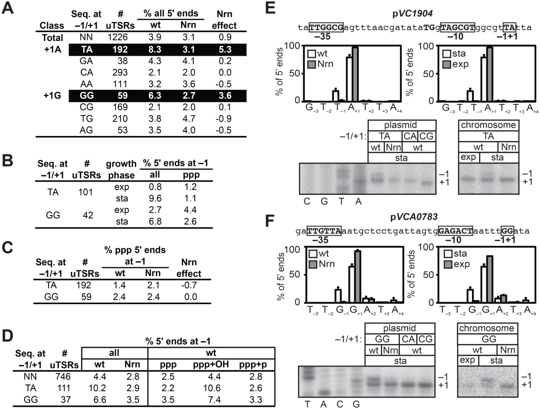 Detection of PDI in <i>V</i>. <i>cholera</i>.