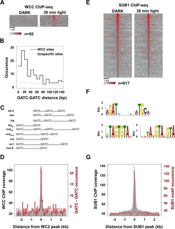 Cistrome analysis of WCC and SUB1.