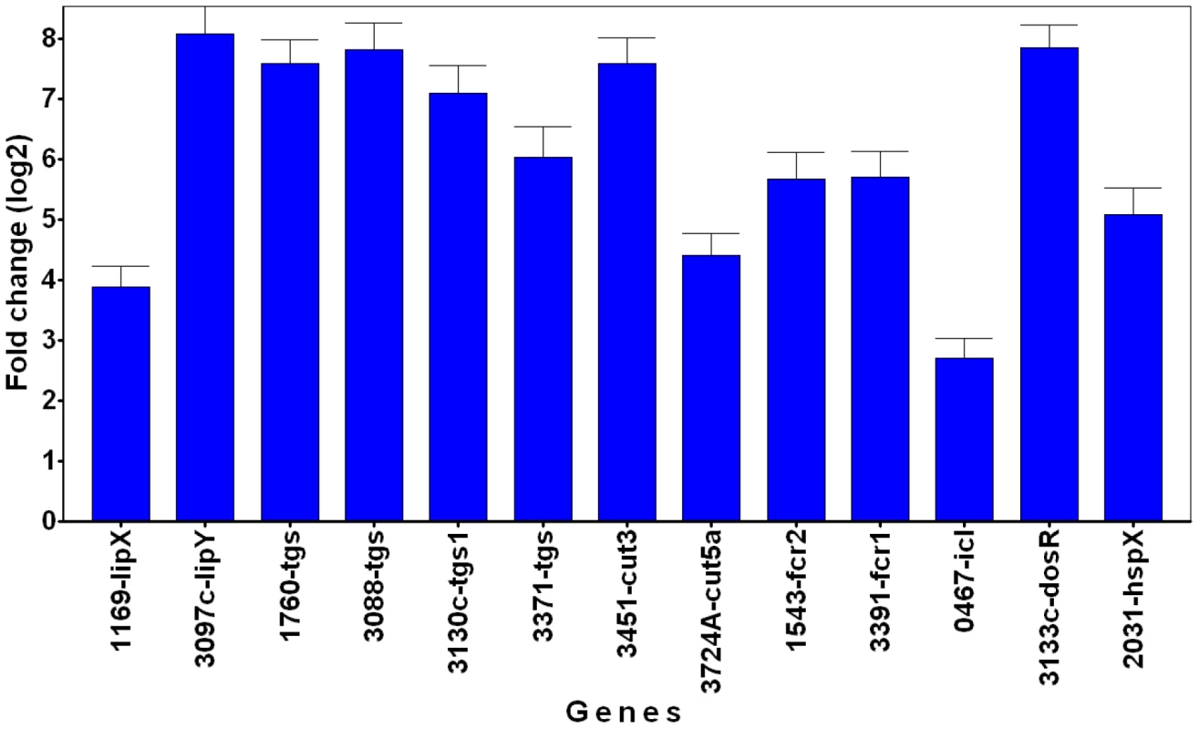 Dormancy and lipid metabolism genes are upregulated in <i>Mtb</i> recovered from lipid-loaded macrophages.