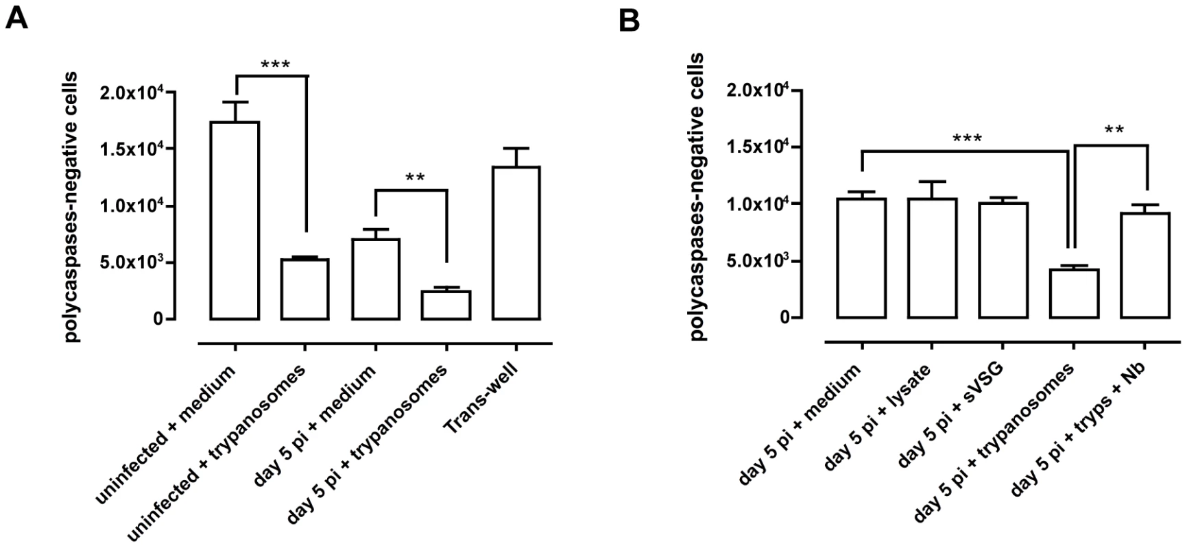 <i>In vitro</i> co-culture of total spleen cells and trypanosomes.