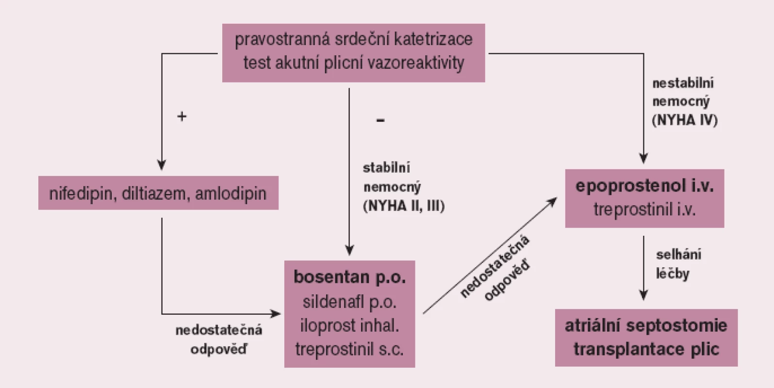 Terapeutický algoritmus u plicní arteriální hypertenze.