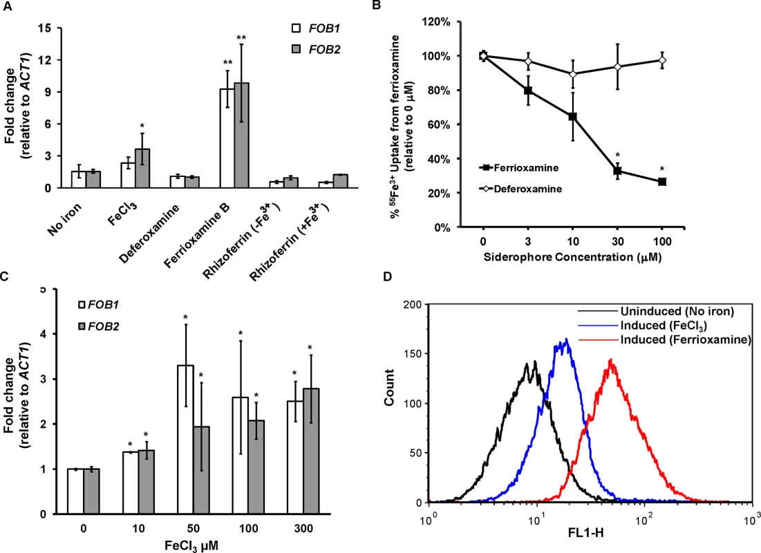 <i>FOB1</i> and <i>FOB2</i> expression is induced by ferrioxamine and to a lesser extent by ferric iron but not by deferoxamine.