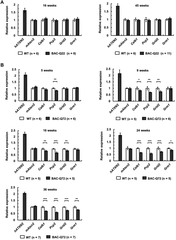 Early expression changes of key cerebellar genes including several PC-specific genes measured by quantitative RT-PCR.