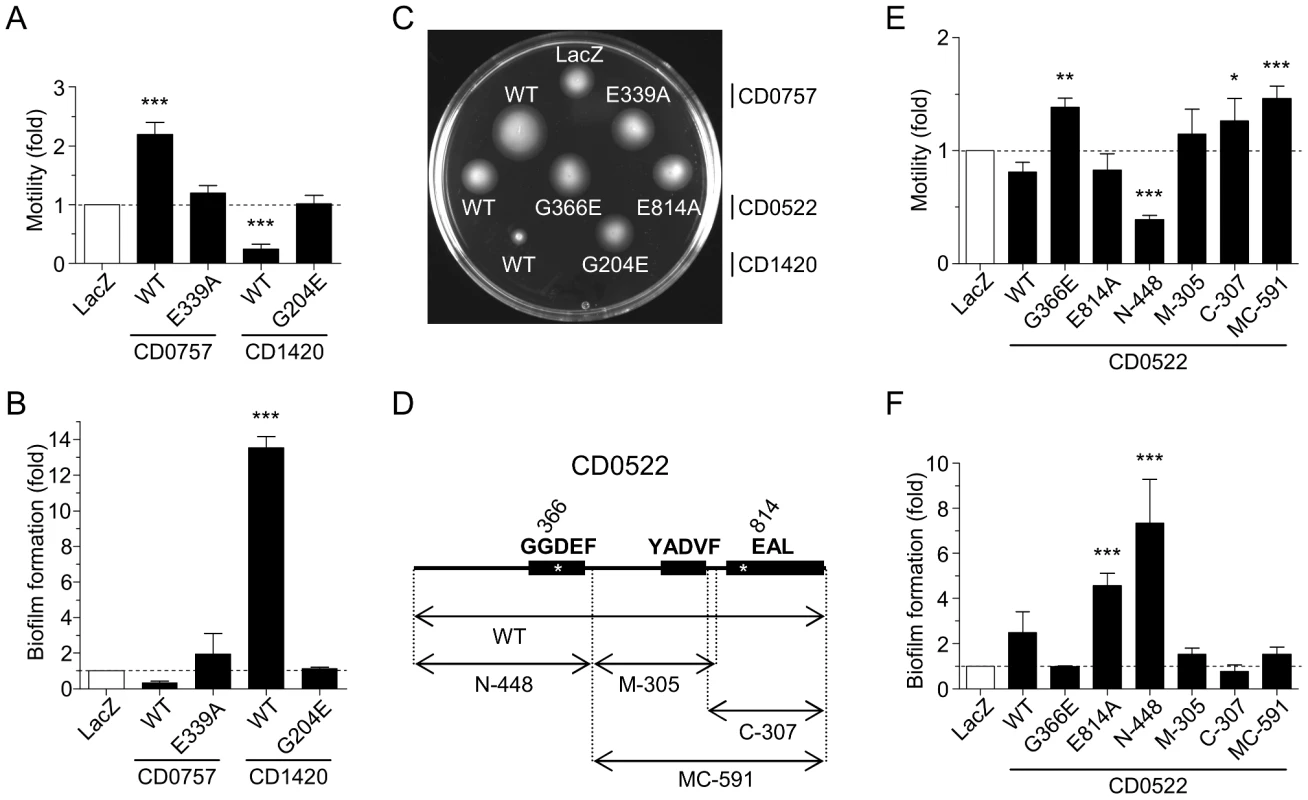 Alteration of <i>V. cholerae</i> N16961 motility and biofilm formation upon expression of wild-type or mutated putative DGCs and PDEAs from <i>C. difficile</i> 630.