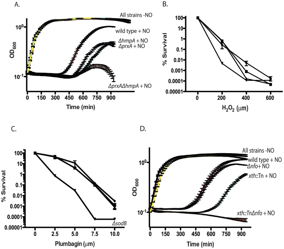 Growth of RNS/ROS mutants under stress.