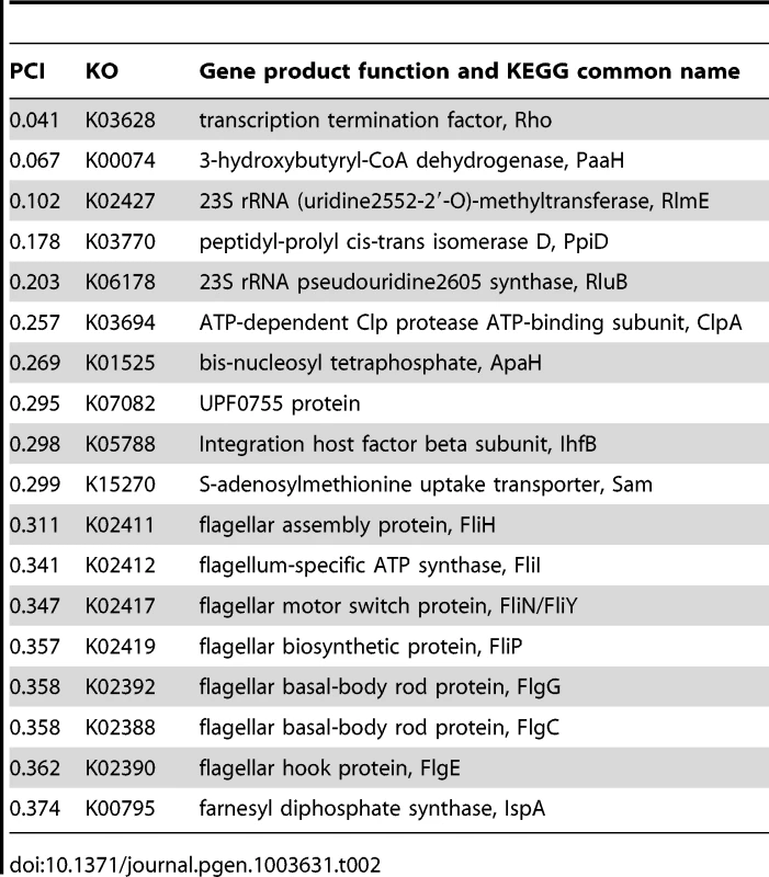 Putative Hsp90A clients among 327 <i>hsp90A</i>-associated genes.