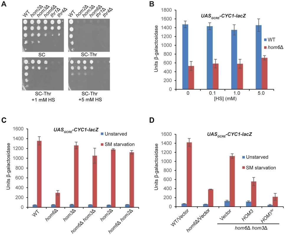Accumulation of aspartate semialdehyde in <i>hom6Δ</i> cells impairs GAAC.