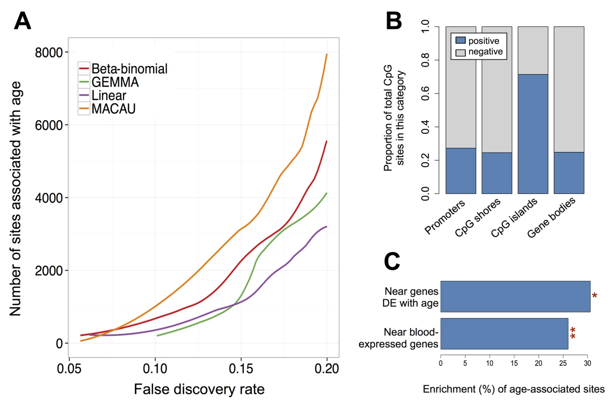 Age-associated CpG sites identified by MACAU in the baboon RRBS data.