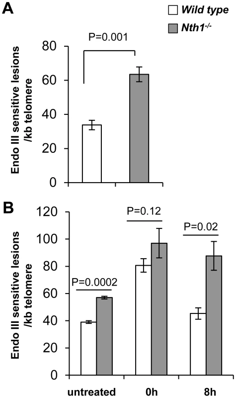 Detection of oxidative DNA base lesions at telomeres in mice.
