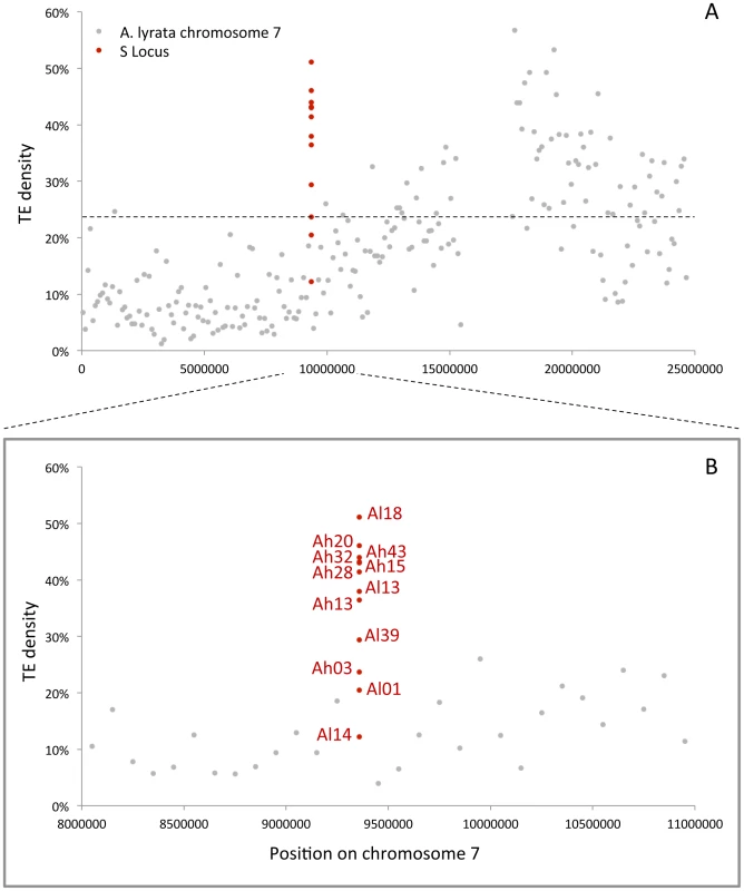 TE density along <i>A. lyrata</i> chromosome 7, comparison with the S-locus data, zoom on the 3 Mbp region around the S-locus.