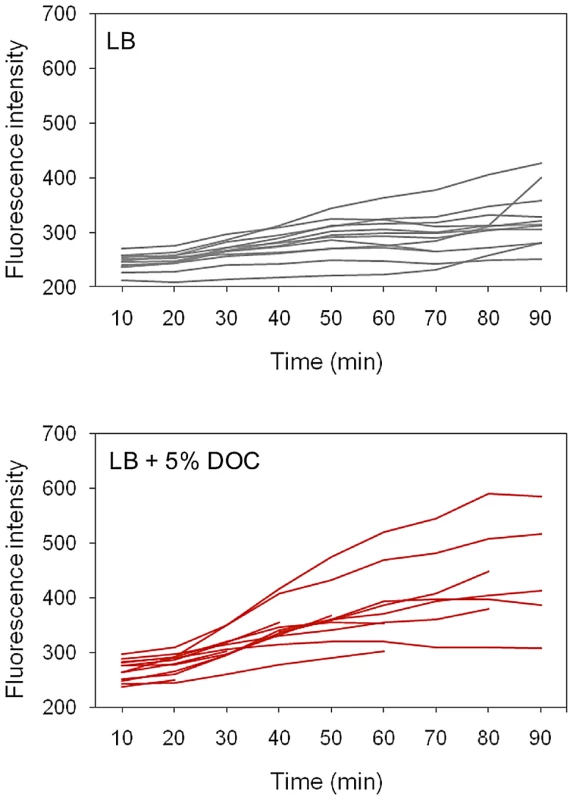 Time course of <i>osmY</i>::GFP expression in individual cells in the presence and in the absence of DOC.