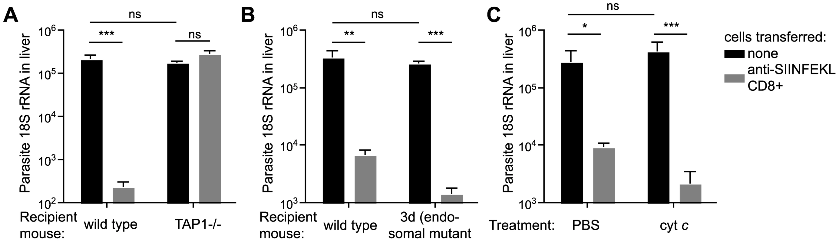 Antigen is directly presented to effector cells by hepatocytes.