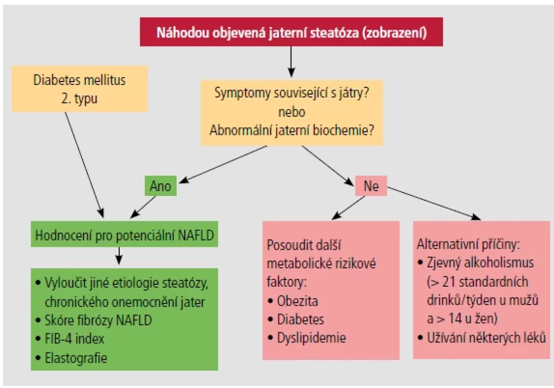 Iniciální vyšetřovací proces při zjištění jaterní steatózy.
