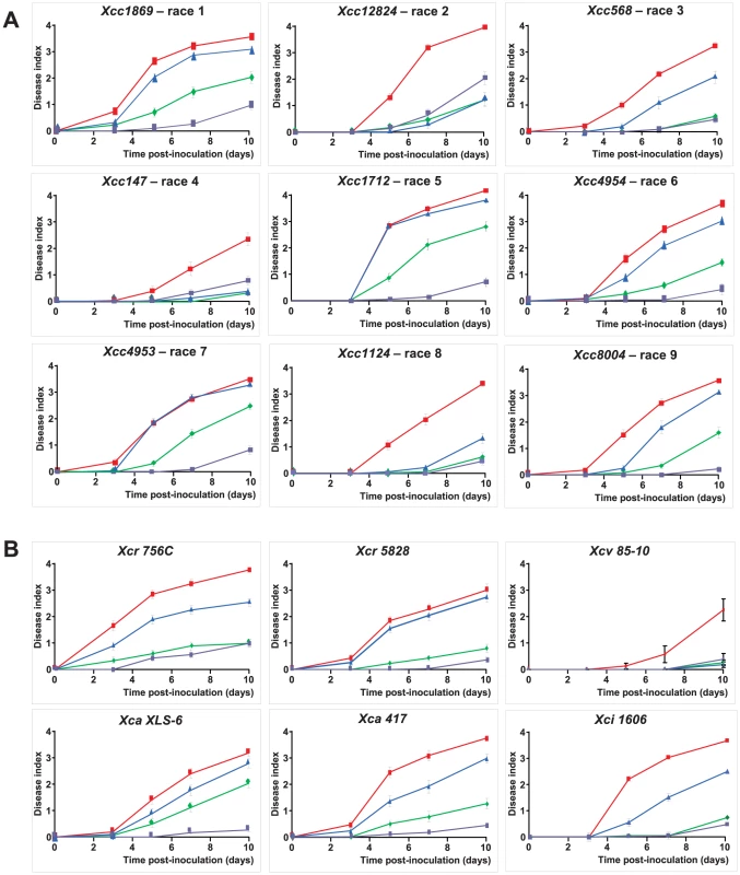 <i>RKS1</i> confers resistance to multiple strains and races and pathovars of <i>Xcc</i>.