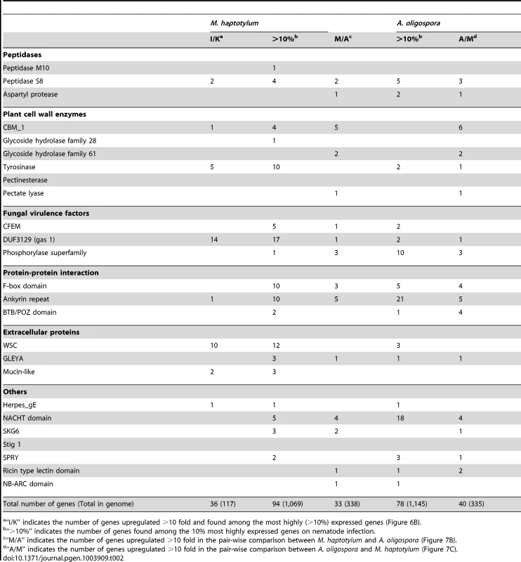 Number of highly upregulated or highly expressed transcripts in expanded Pfam domain families of <i>M. haptotylum</i> and <i>A. oligospora</i> during nematode infection.
