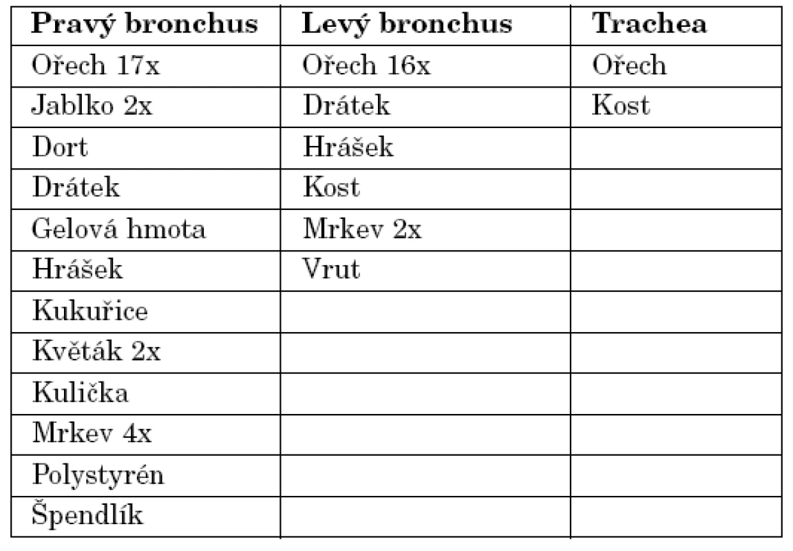 Nalezená cizí tělesa v dýchacích cestách.