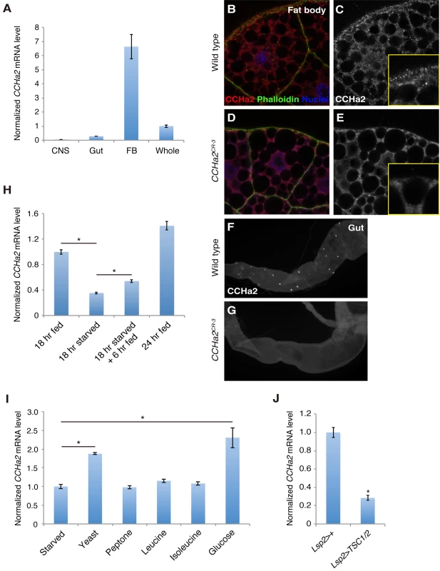 <i>CCHa2</i> is a selective nutrient-sensitive hormone derived from peripheral tissues.