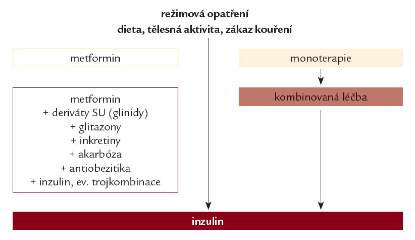 Algoritmus léčby hyperglykemi e u nemocných s di abetem 2. typu. Léčbu revidujeme a intenzifi kujeme obvykle při HbA<sub>1c</sub> ≥ 5,3 %.