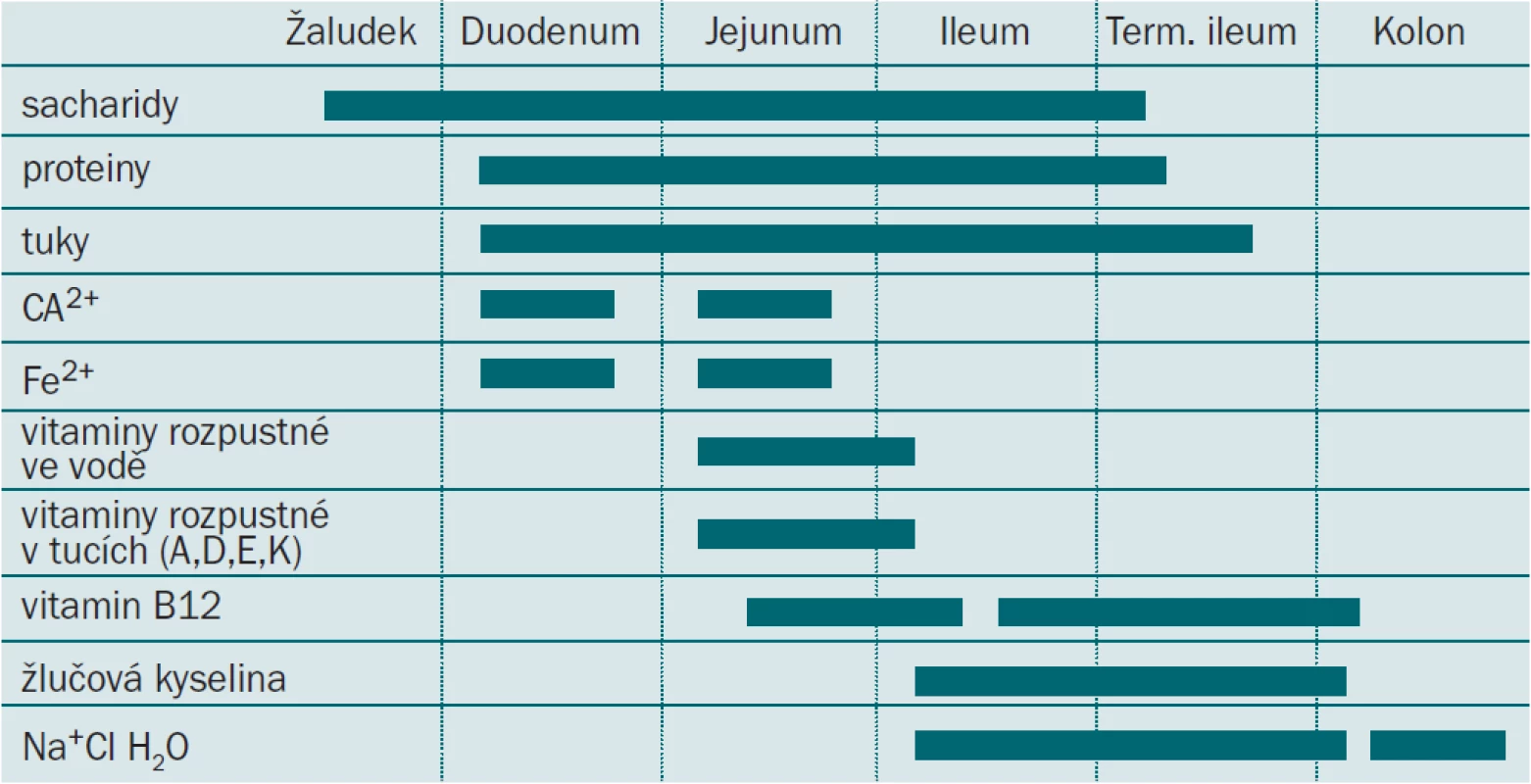 Metabolické komplikace: selektivní vstřebávání v jednotlivých částech střeva. 