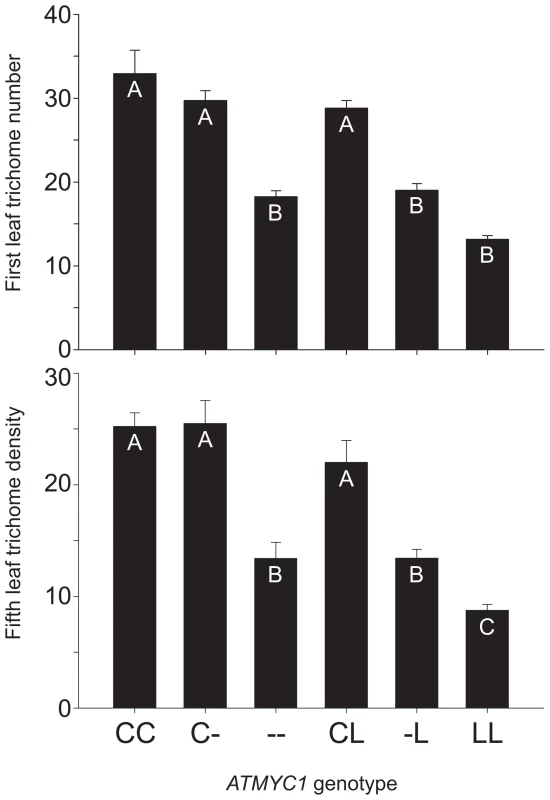 Genetic complementation test results.