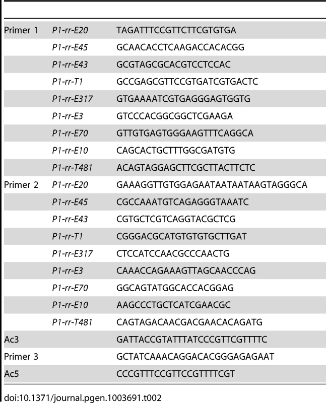 PCR primers.