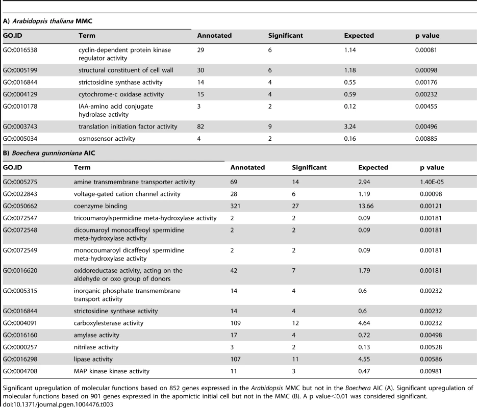 Gene ontology analysis on MMC and AIC.