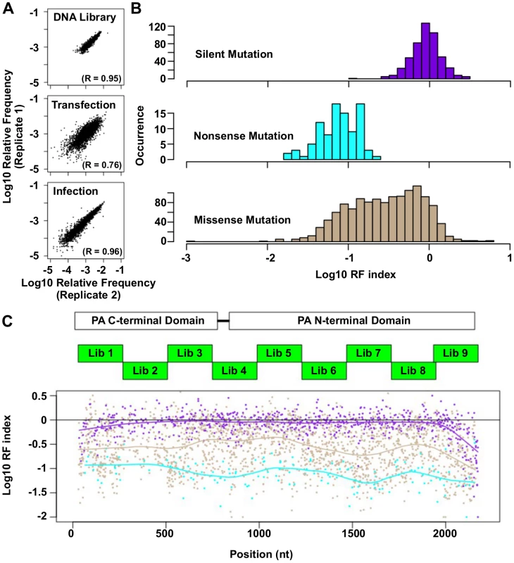 Fitness profiling of PA influenza virus polymerase subunit.