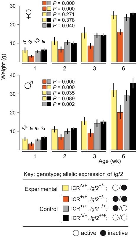 Weight gain in <i>Igf2</i> mutants carrying ICR<sup>Δ</sup>.