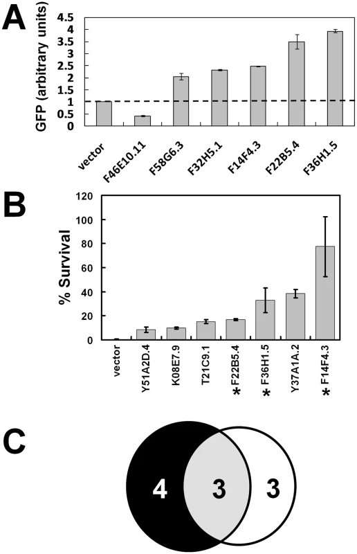 Functional validation of heme-responsive genes.
