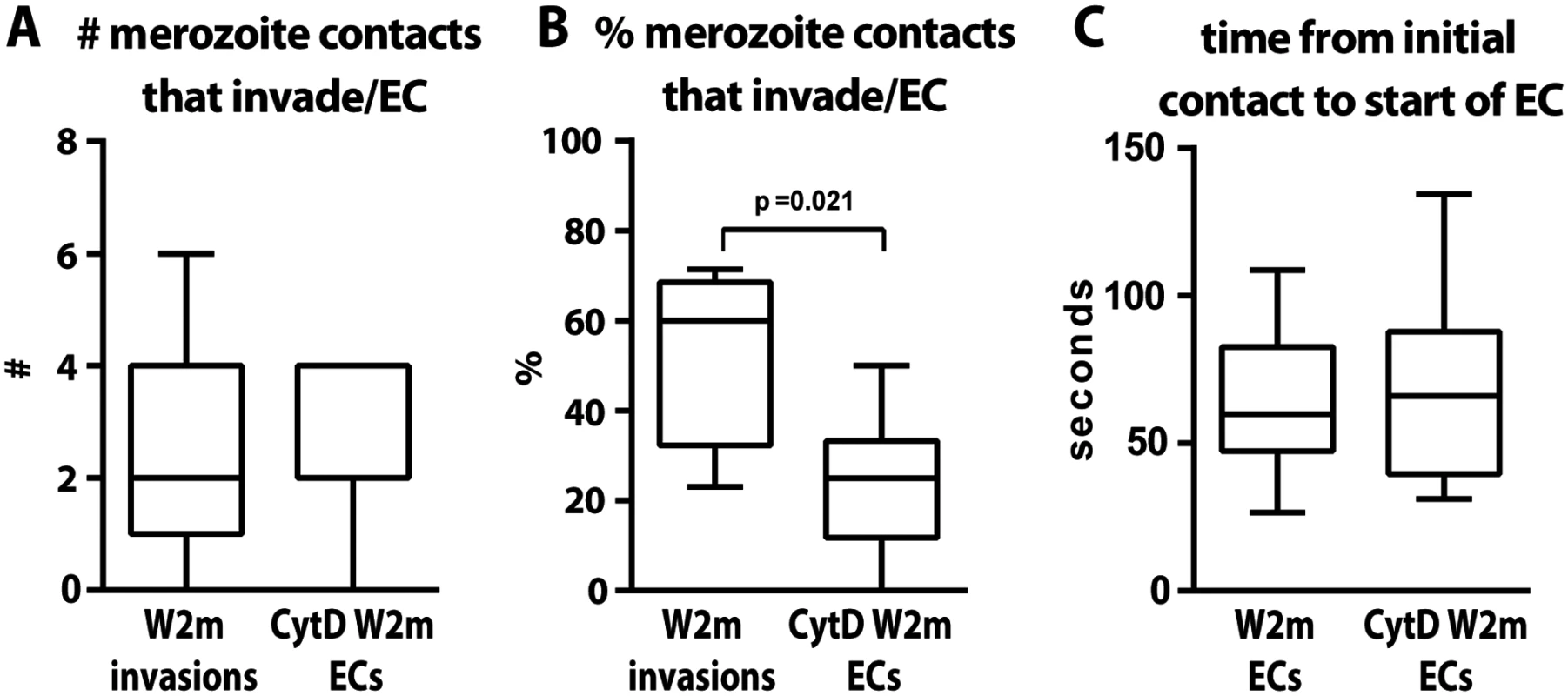 The parasite’s actin-myosin motor is involved in rapid host cell selection.