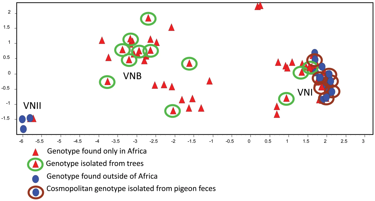 The genetic relationships among MLST genotypes are visualized by PCA.