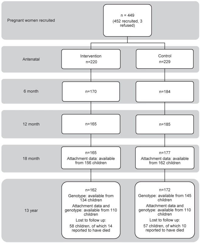 Flowchart showing how the sample of 220 13-y-old children with both 5HTTLPR genotype and attachment security data was assembled for this study.