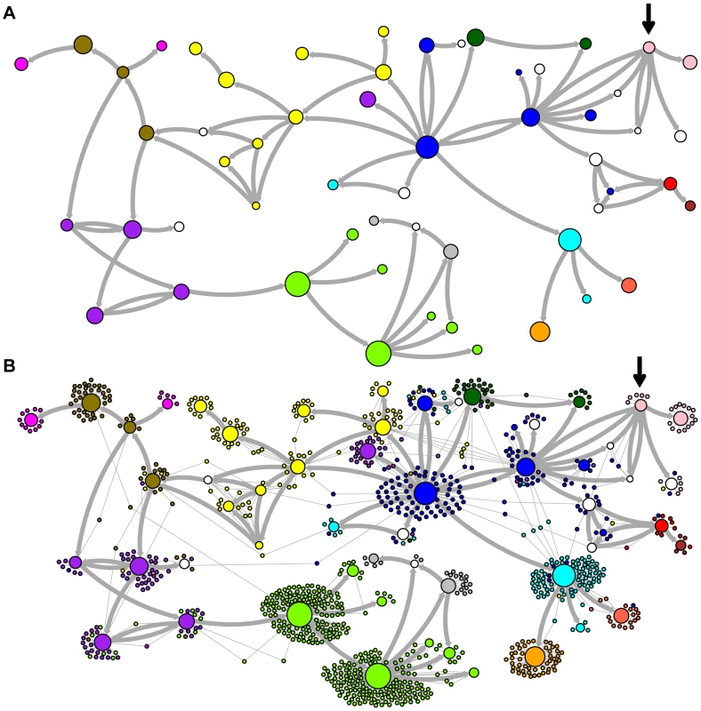 Ancestral relationships among LAVA elements.