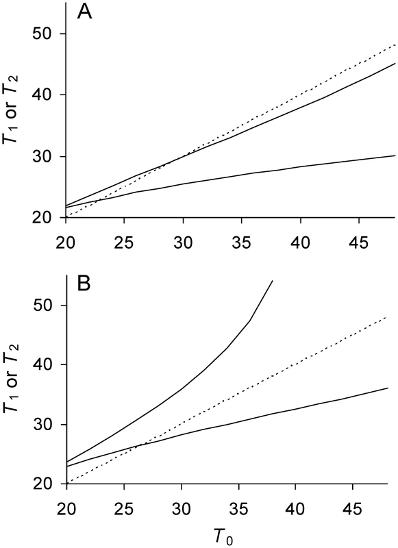Relationship between doubling times of daughter and mother cells when division is asymmetrical.