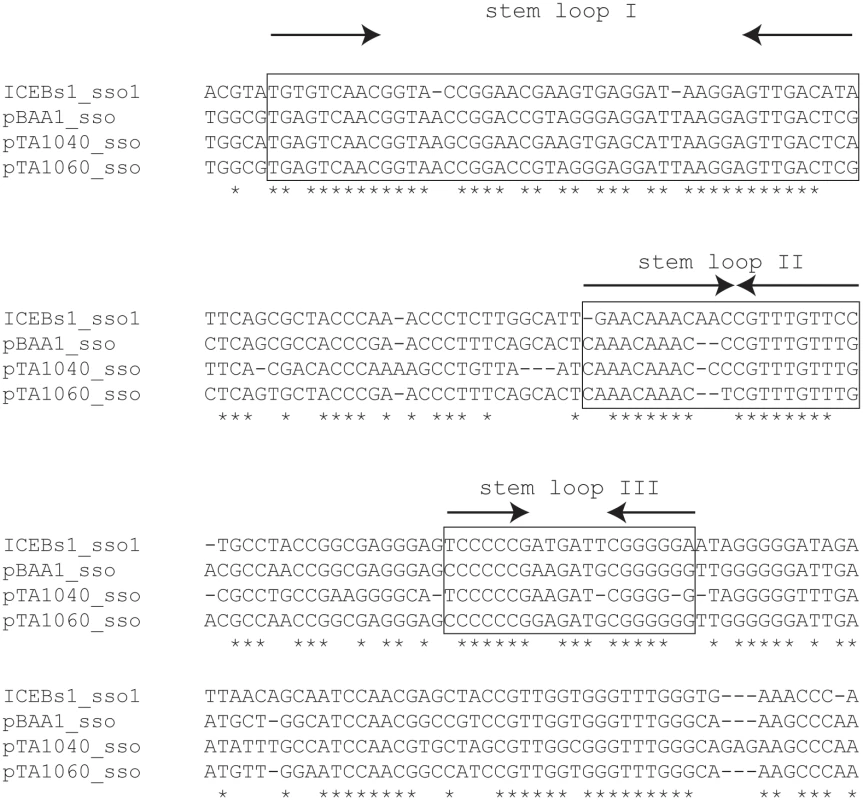 A region of ICE<i>Bs1</i> (<i>sso1</i>) is similar to <i>sso</i>'s from RCR plasmids.