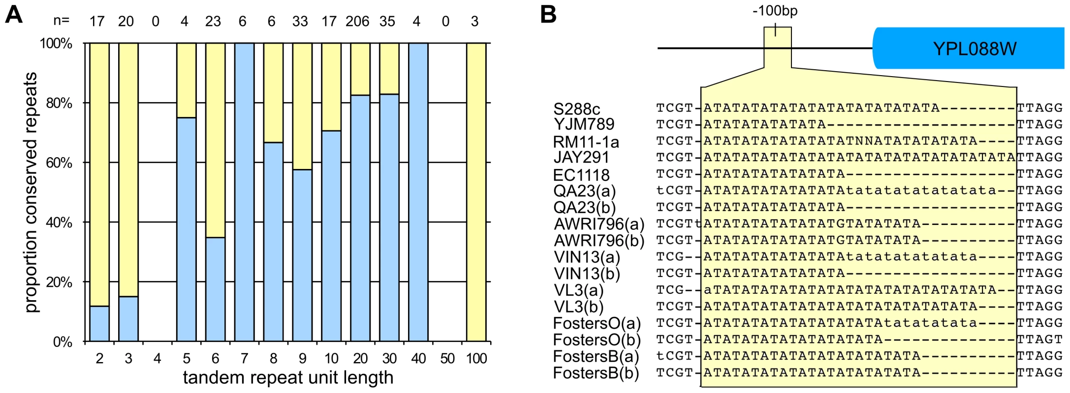 Nucleotide variation in <i>S. cerevisiae</i>.