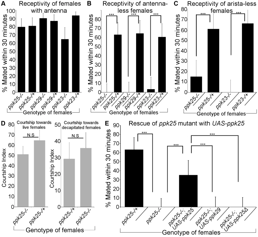 Antenna-less females mutant for <i>ppk25, ppk23 or ppk29</i> are unreceptive to males.
