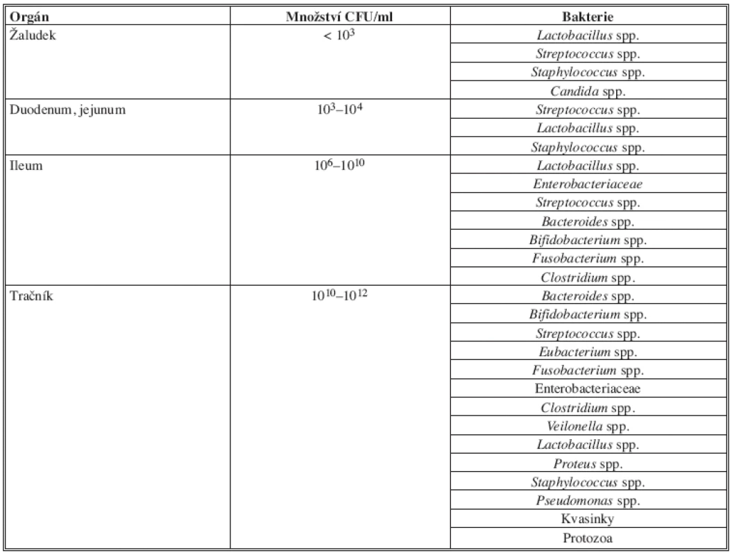Zastoupení mikroorganismů normální flóry gastrointestinálního traktu