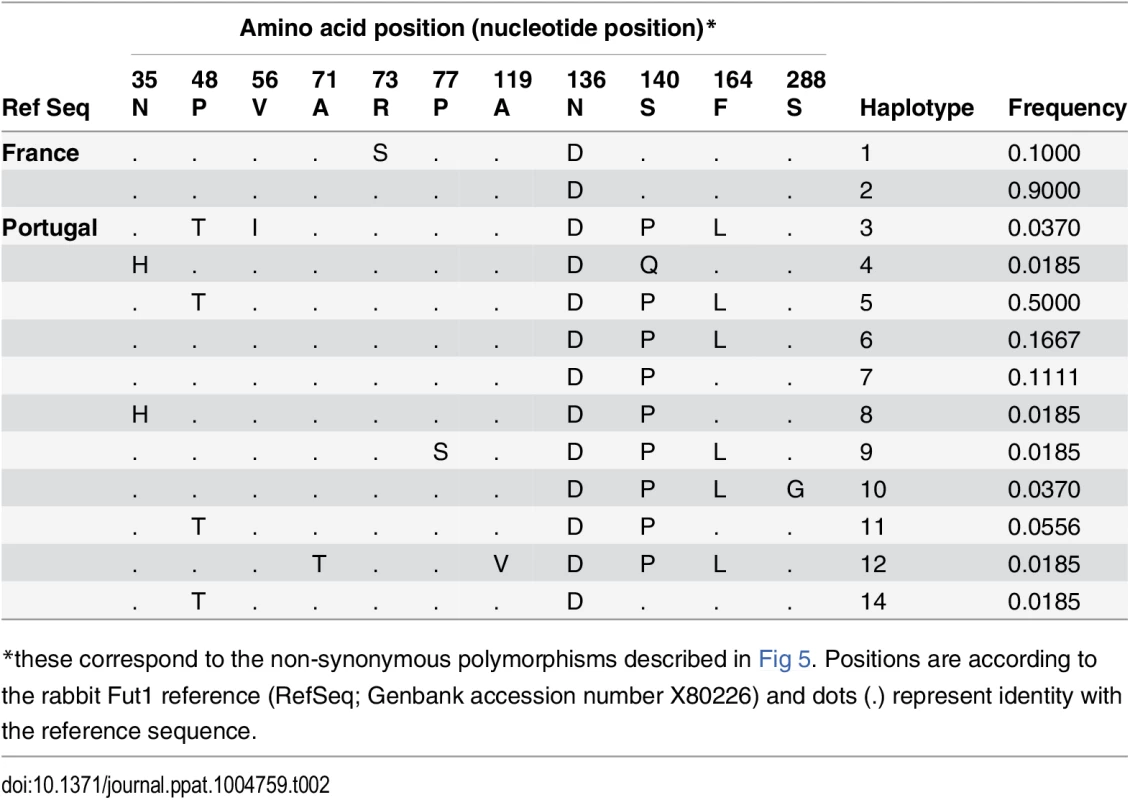 Fut1 amino acid variation found in the Portuguese and French rabbit populations and the inferred haplotypes.