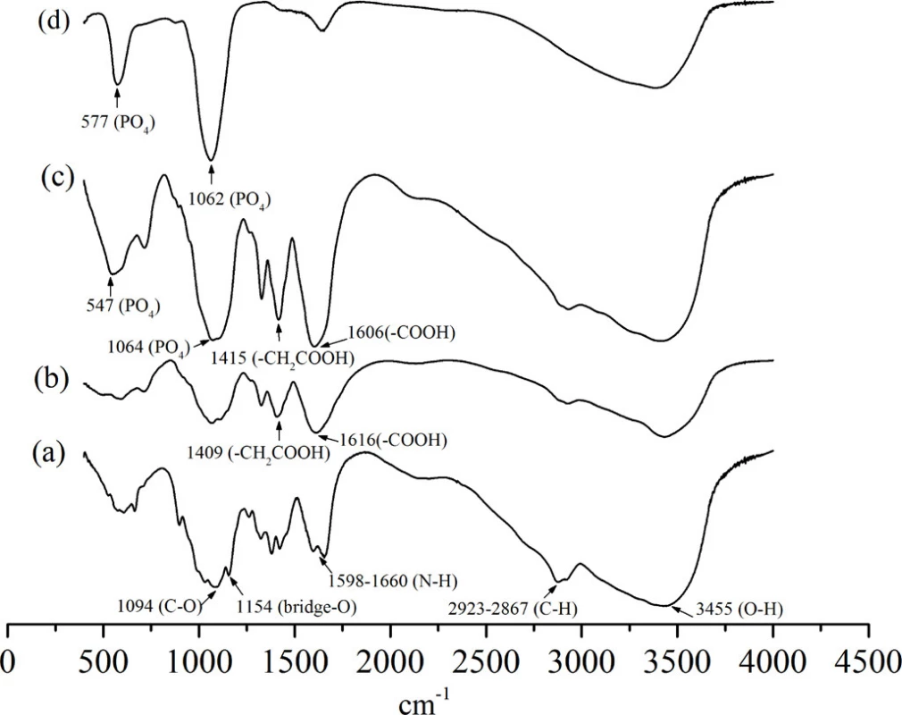 FTIR spectrumof (a), chitosan; (b), carboxymethyl chitosan; (c), nanocomplex of CMC/ACP; (d), synthesized ACP.