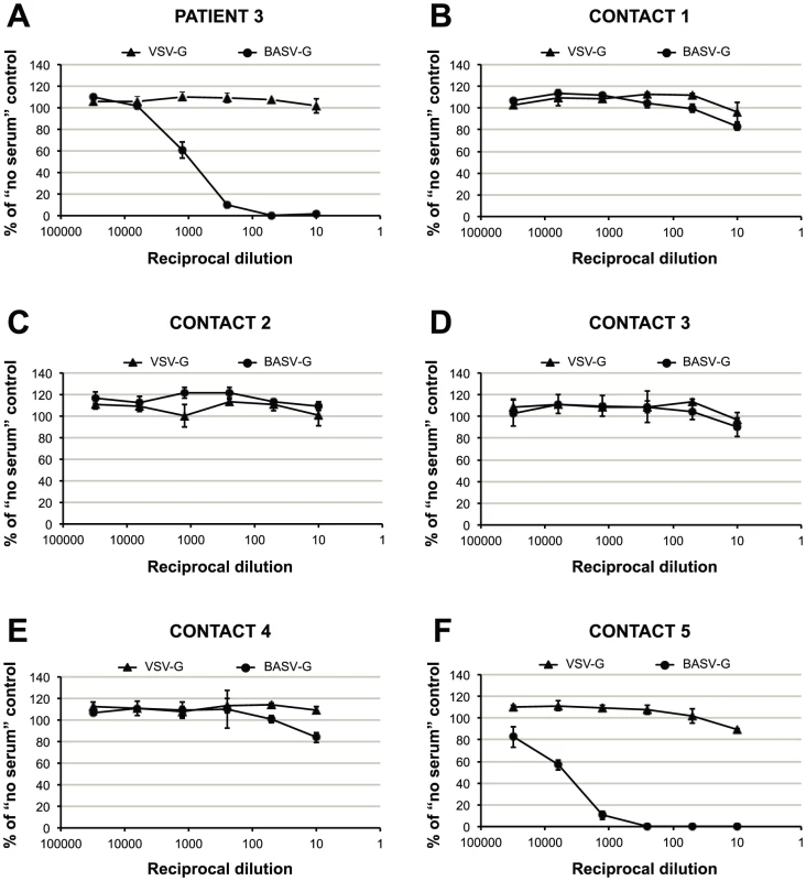 Detection of antibodies to BASV by serum neutralization of VSVΔG-GFP pseudotypes.