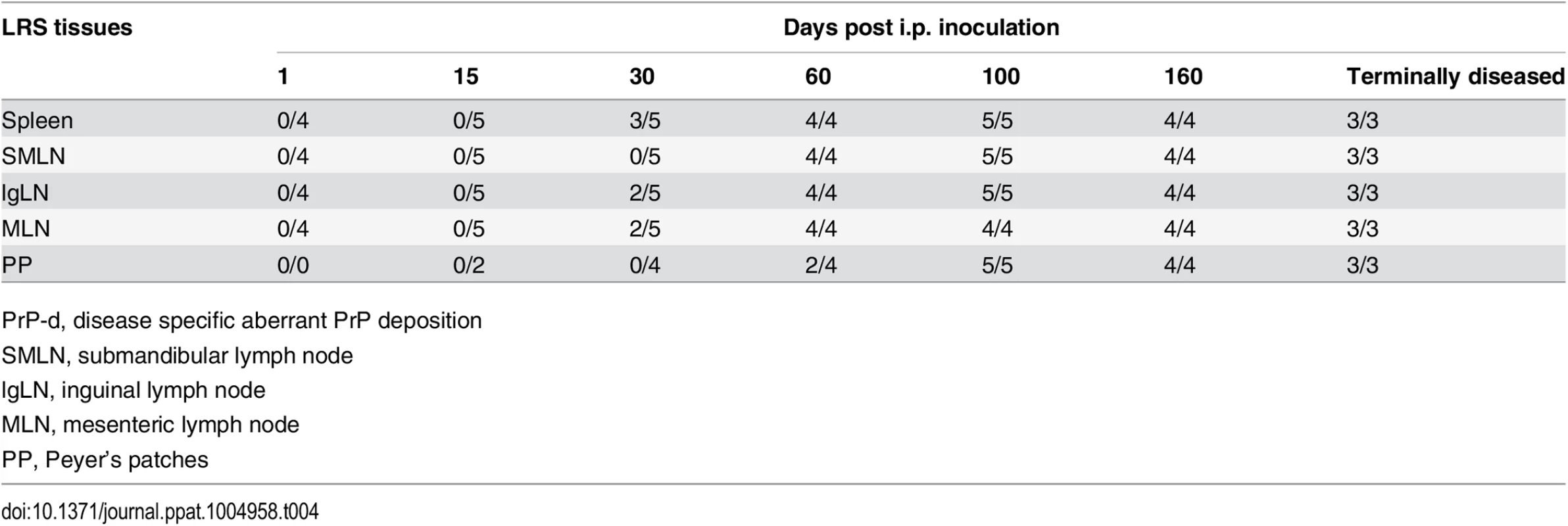 Temporal sequence of PrP-d accumulation in lymphoid tissues after i.p. rec-Prion inoculation (PrP-d positive samples / Total samples examed).