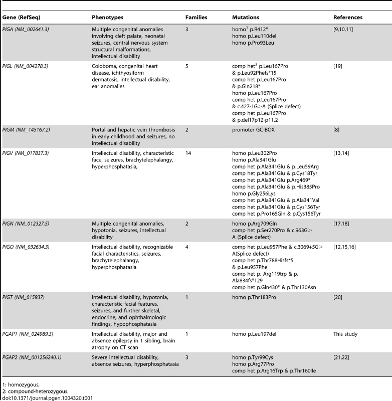Overview of identified mutations in the GPI synthesis pathway and the associated symptoms.