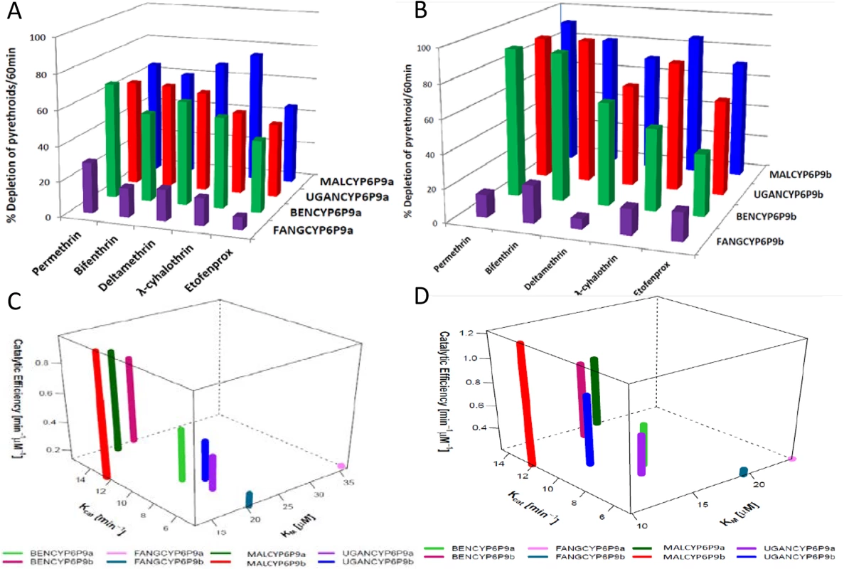 Substrates depletion assay results and kinetic profiles of recombinant CYP6P9a and CYP6P9b.
