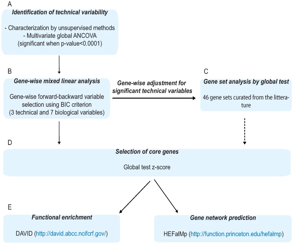 Schematic representation of data analysis.