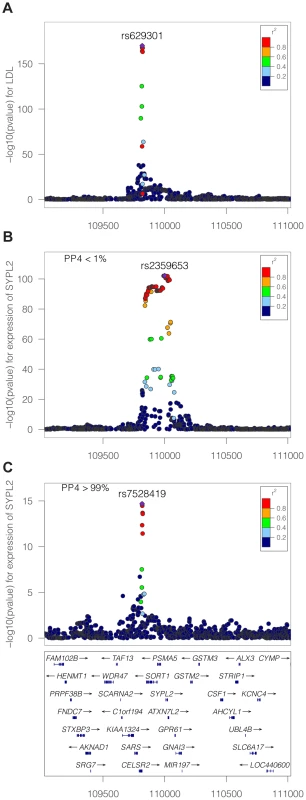 LDL association and eQTL association plots at the <i>SYPL2</i> locus.